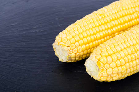 Cobs of ripe yellow sweet corn on black background. Studio Photo