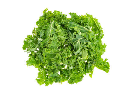 Fresh green kale leaves. Vegetarian menu, healthy diet food. Studio Photo