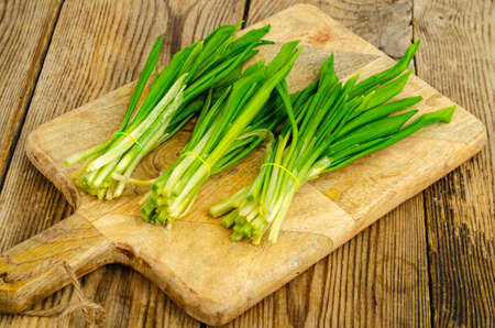 Green young shoots of Allium ursinum. Studio Photo