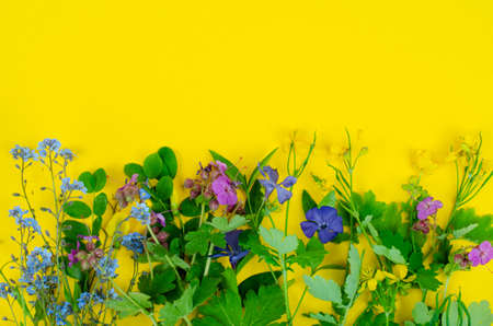 Bright spring and summer flowers on yellow background. Studio Photo.の写真素材