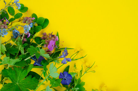 Bright spring and summer flowers on yellow background. Studio Photo.の写真素材