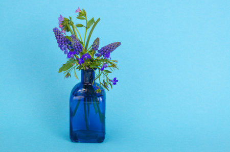 Blue wildflowers in vase on bright background. Studio Photoの写真素材