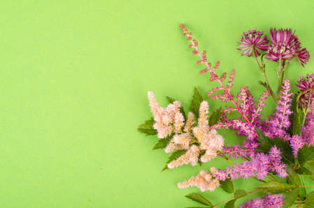 Festive background, postcard with lilac delicate flowers on green background, space for text. photoの写真素材
