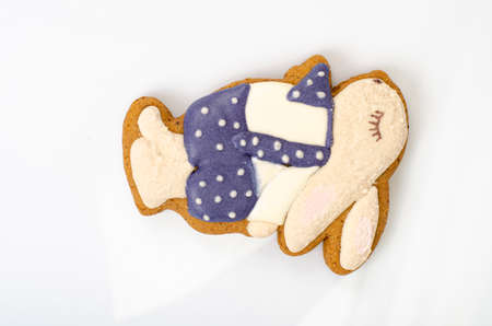 Homemade gingerbread cookies in shape of animals for children. photo