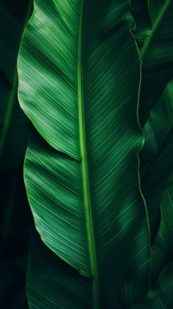 Palm leaf background. Illustration Generative AIの素材