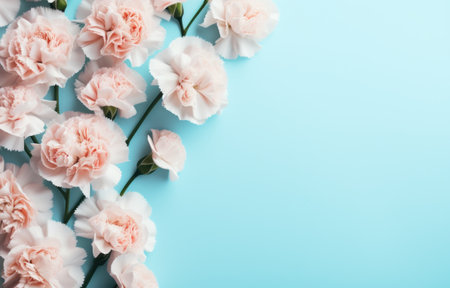 pink and white carnations are placed on top of a blue background.の素材