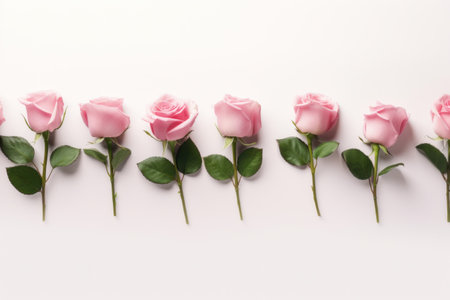 a pink flower frame on pink background.の素材