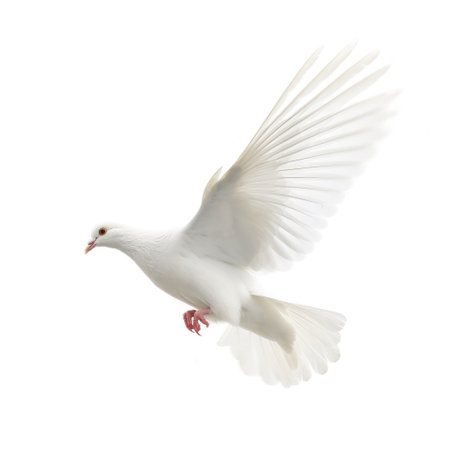 White pigeon flying isolated. Illustration Generative AIの素材