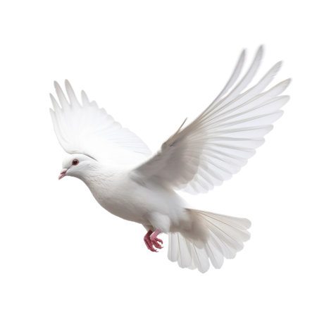 White pigeon flying isolated. Illustration Generative AIの素材
