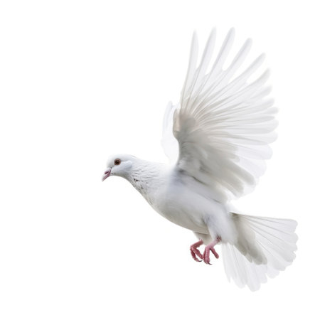 White pigeon flying isolated. Illustration Generative AIの素材