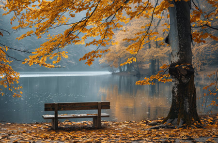 A wooden bench sits by a tranquil lake in a foggy forest. The leaves have turned a beautiful yellow, creating a picturesque scene.の素材