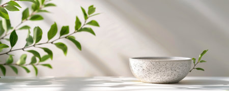 A potted plant with green leaves sits on a white surface with light shadows cast on the wall behind it.の素材