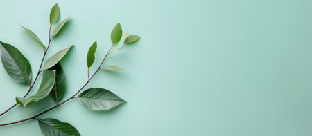 A collection of green leaves of varying sizes is elegantly arranged on a soft mint-colored background, showing the beauty of nature in a serene and harmonious setting.の素材
