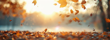 Golden leaves fall in a forest on a sunny day. The sun shines through the branches of the trees, illuminating the leaves as they dance in the air. Some leaves have already landed on the ground, creating a carpet of color.の素材