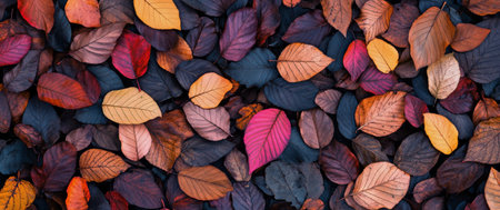 A collection of autumn leaves in various shades of red, orange, and purple covers the ground, showing the beauty of seasonal change in a serene outdoor environment.の素材