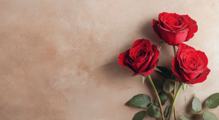 Three red roses with lush green leaves stand elegantly against a soft, neutral backdrop, highlighting their beauty and natural charm.の素材