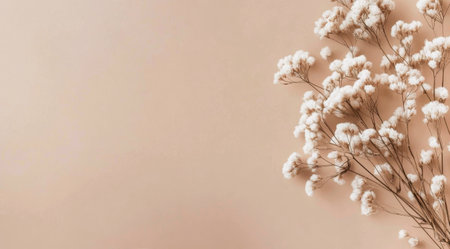 A graceful display of small white flowers against a soft peach background creates a serene and calming visual. This composition highlights the beauty of nature in a minimalist style.の素材