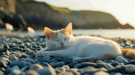 A white cat lies comfortably on a sandy beach, resting its head on smooth stones while the sun sets in the background, casting a warm glow over the landscape.の素材