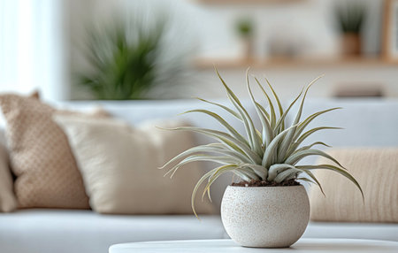 A bright indoor setting features a decorative potted plant on a white table, complemented by soft furnishings in the background. The atmosphere is relaxed and inviting.の素材