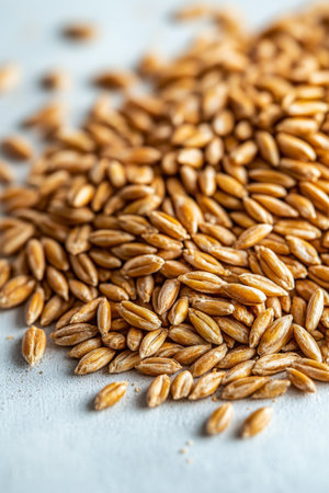 A collection of pale yellow grain seeds is spread across a white surface, highlighting their smooth texture and uniform shape. The natural light accentuates the grains color and details.の素材