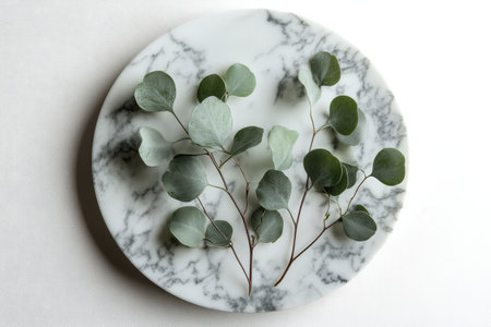 Fresh eucalyptus branches are artfully placed on a smooth, round marble platter, creating a serene and elegant aesthetic against a softly lit background.の素材