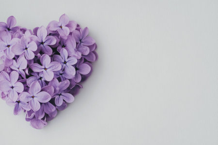 A heart shape made from lilac petals is placed on a white surface. The delicate flowers display soft lavender hues with dark centers, creating a romantic and serene atmosphere.の素材