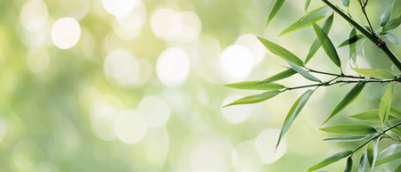 Delicate bamboo leaves flourish in the soft sunlight, creating a calming atmosphere. The background features a gentle blur, enhancing the peacefulness of the environment.の素材