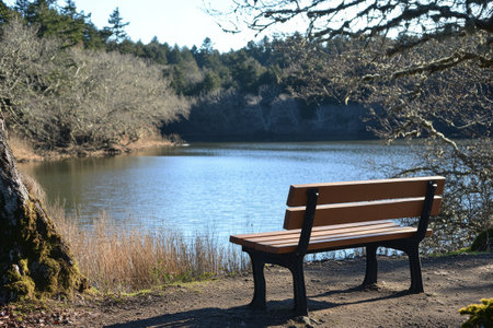 A tranquil lakeside setting features a sturdy wooden bench positioned beside still waters. Surrounding trees reflect the serene ambiance of a peaceful outdoor retreat.の素材