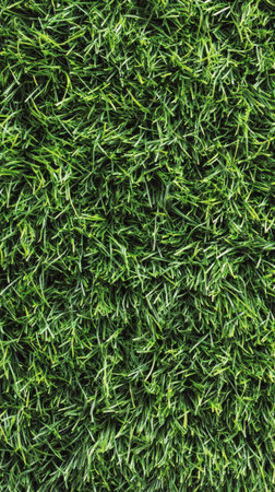 Vibrant blades of grass grow thickly on the ground, illuminated by sunlight. The greenery suggests a well-maintained lawn in a tranquil outdoor setting.の素材