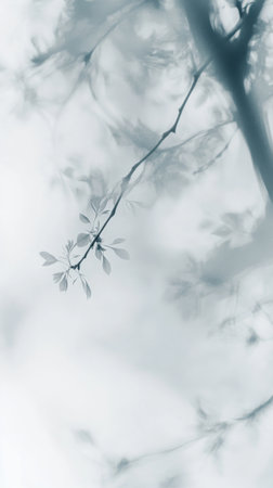 Light and airy fabric flows gently, creating soft curves and delicate waves. The translucent material catches light beautifully, transforming the space with its elegance..の素材