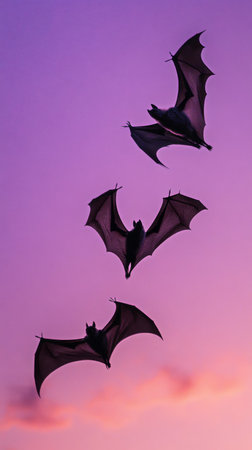 Three bats are flying gracefully against a stunning purple and pink sunset sky. This scene captures the essence of wildlife in flight during the evening hours.の素材