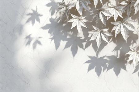 Delicate shadows of maple leaves gently fall on a smooth white wall, creating a peaceful atmosphere in a quiet garden under the warm sun.の素材