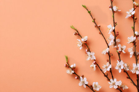 Delicate cherry blossom branches spread across a soft pastel background, capturing the essence of spring with their vibrant pink flowers and intricate details..の素材