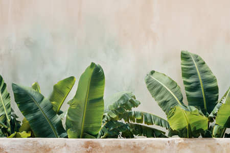 Bright banana leaves peer above a low wall, showing their rich green tones. The soft backdrop creates a serene atmosphere, highlighting natures beauty in a simple scene.の素材