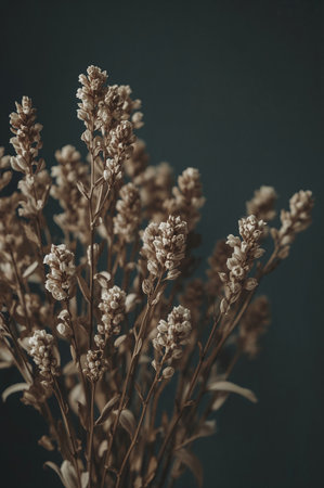 A group of dried flowers stands tall in a vase with soft brown hues. The background appears dark, creating focus on the flower arrangement during the afternoon light.の素材