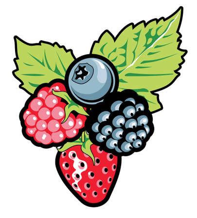 Berries   illustration のイラスト素材