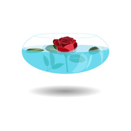Scarlet rose in a vase of water. Vector illustration beatiful rose in nice transparent bowl with water. Single rose in vase for greetingのイラスト素材
