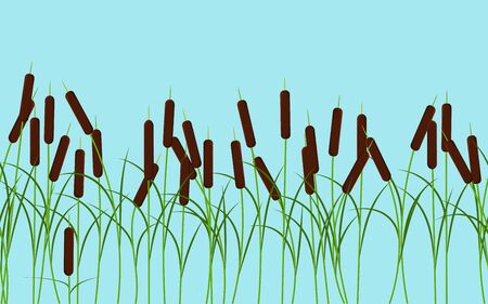 Vector reed stalks plant seamless pattern on blue sky background for landscape nature decoration and props, cartoon and nature backgroundのイラスト素材