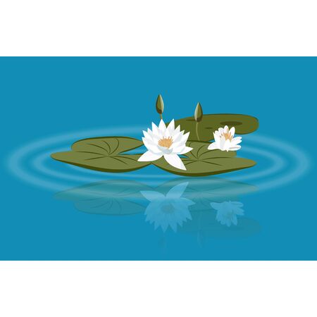 Water lily vector on the lake with leavs and flower budsのイラスト素材
