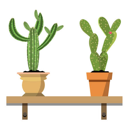 2 potted cactus plants in nice colorful flower pots against white wall. House plants on woden shelf isolated on whiteのイラスト素材