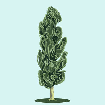 Vector poplar tree isolated on light blue backgroundのイラスト素材