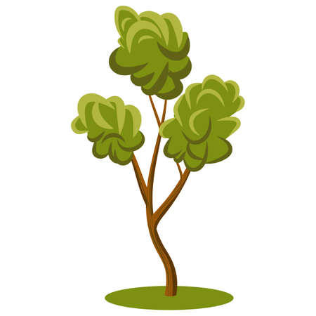 Flat cartoon vector park tree with variety of green shades leaves. Flat Vector Illustration for nature props animation, isolated on whiteのイラスト素材