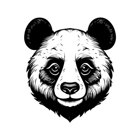 panda, vintage logo line art concept black and white color, hand drawn illustrationのイラスト素材