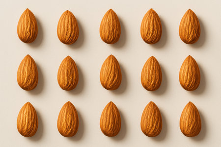 Top down arrangement of brown almond seeds in an equidistant grid on matte off white background minimal food pattern for packaging and designの素材