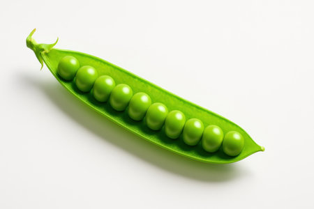 Fresh green pea pod split lengthwise with glossy peas aligned on whiteの素材