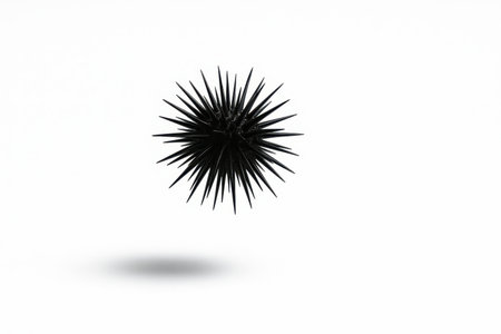 Black sea urchin Arbacia lixula captured in gentle mid air with a faint shadow ellipse below isolated on whiteの素材