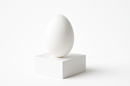 Single white egg standing upright on a matte white acrylic block clean product style studio on whiteの素材