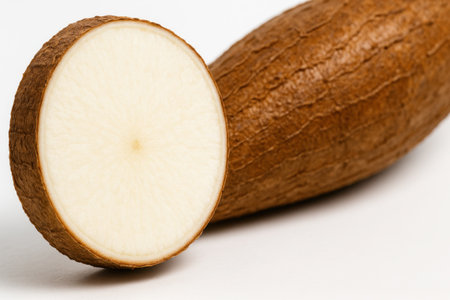 Whole cassava with three slices extreme macro diagonal focusing on the nearest cross section on whiteの素材