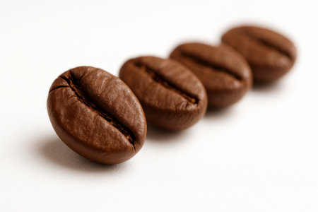 Extreme close up row of roasted coffee beans on bright white surface macro food texture shot for cafe branding barista menu background coffee packaging and gourmet drink designの素材