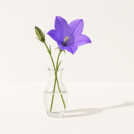Small clear glass bud vase holding single purple bell flower and two closed buds on white surface soft shadow floral decor for greeting card and interior stylingの素材